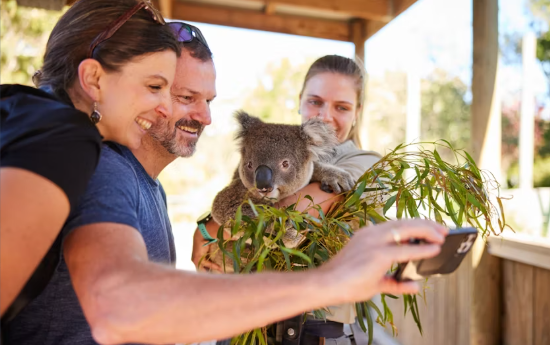 Wildlife, waterfalls and wine full day guided tour from Sydney - Image 2